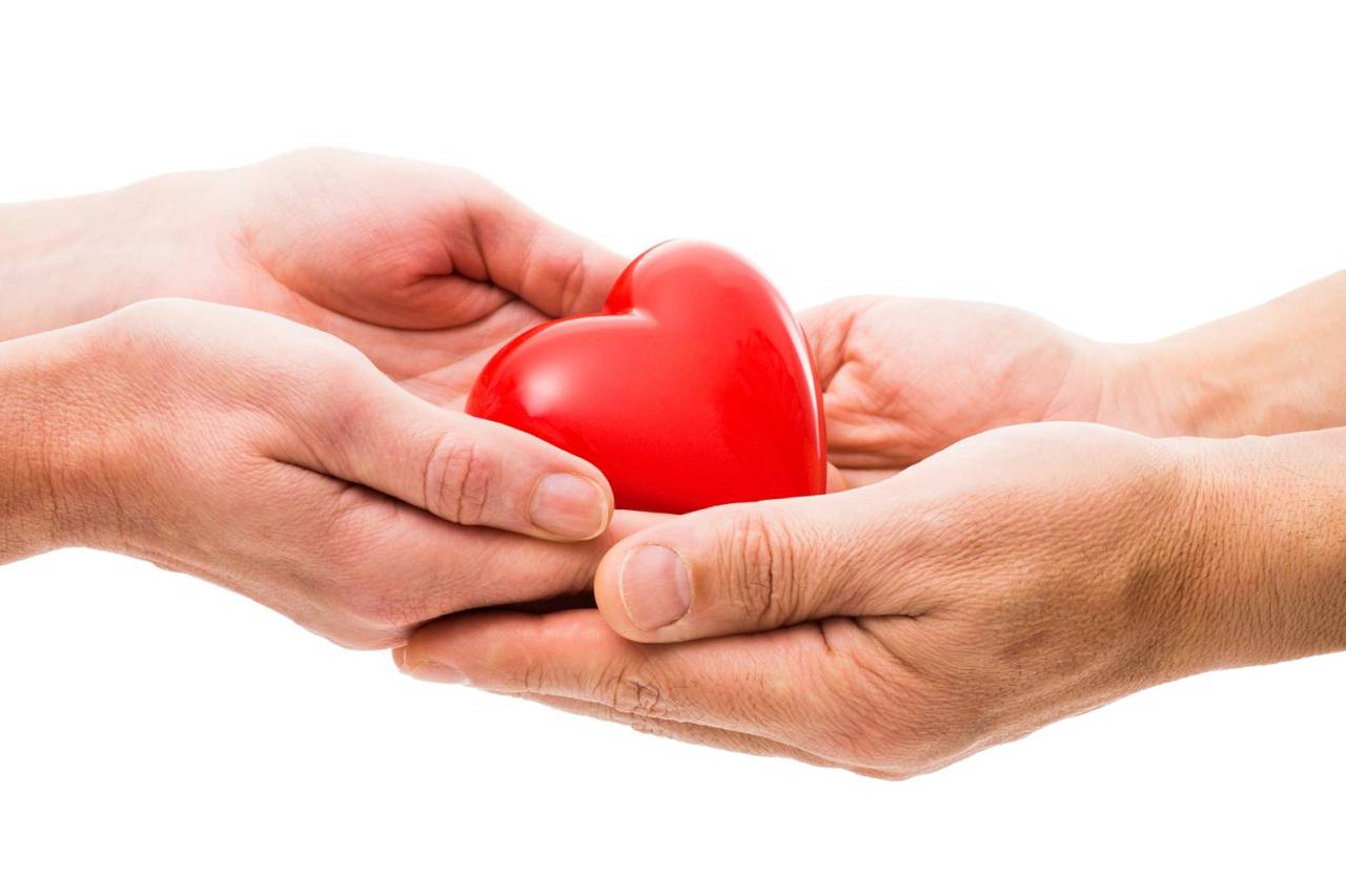 Not Just Waiting: How Kidney Donation Became a Story Worth Sharing